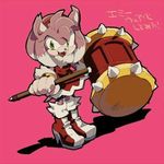 Amy Amy