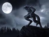 Werewolf Werewolf