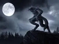 Werewolf Werewolf