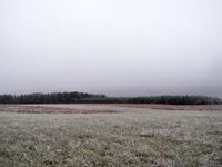 Stratus Stratus