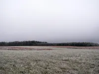 Stratus Stratus