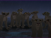 He picked Lions who Simba did not trust/Who were loyal to Scar/Or cubs of Outsiders/Other. He picked Lions who Simba did not trust/Who were loyal to Scar/Or cubs of Outsiders/Other.