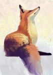 FOXES! duh FOXES! duh