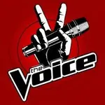 The Voice The Voice