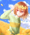 Chara