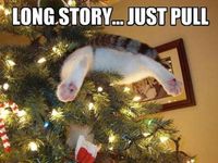 I couldn't resist with this one! I couldn't resist with this one!