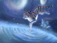 Silverstream Silverstream