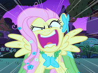 Fluttershy's (The Best Night Ever and Putting your hoof down) Fluttershy's (The Best Night Ever and Putting your hoof down)