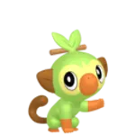 #810 Grookey