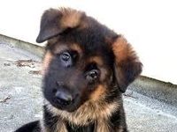 This one This one