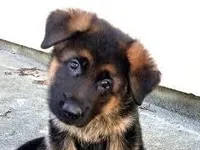 This one This one