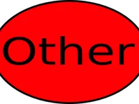 Other