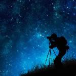 le stars le stars