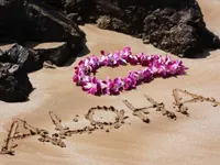 Go to Hawaii Go to Hawaii