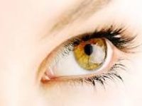Hazel Hazel