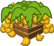 Banana Farm
