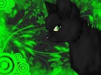 Hollyleaf