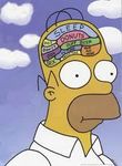 Homer Simpson Homer Simpson