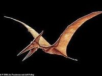 Pterodactyl! Flying is awesome! Pterodactyl! Flying is awesome!