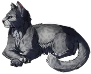 Ashfur? Ashfur?
