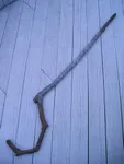 Jack Frost's staff