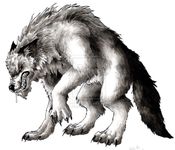 Werewolves Werewolves