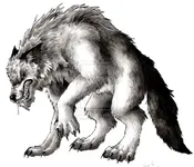 Werewolves Werewolves
