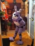 Bonnie the Bunny Bonnie the Bunny
