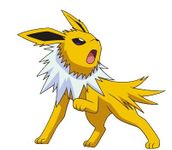 Jolteon Jolteon