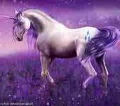 rarity rarity