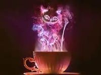 Cheshire cat Cheshire cat