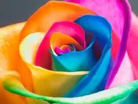 rainbow rainbow