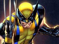 Wolverine Wolverine