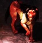 Smile dog Smile dog