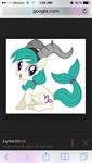 Capicorn Capicorn
