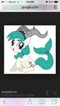 Capicorn Capicorn