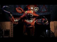 Foxy Foxy