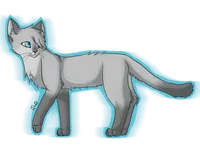 Dovewing Dovewing