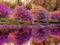 Spring Spring