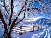 Winter Winter