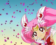 Sailor chibi moon