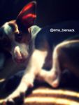 Blur? Blur?