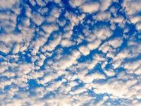 Altocumulus Altocumulus