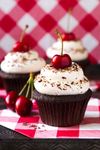 Cupcakes... Cupcakes...