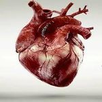 OR sell one of your organs? OR sell one of your organs?