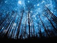 Night time Night time
