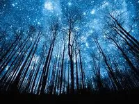 Night time Night time
