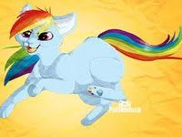 Rainbow dash cat form Rainbow dash cat form
