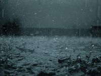 Rainy Rainy