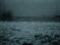 Rainy Rainy
